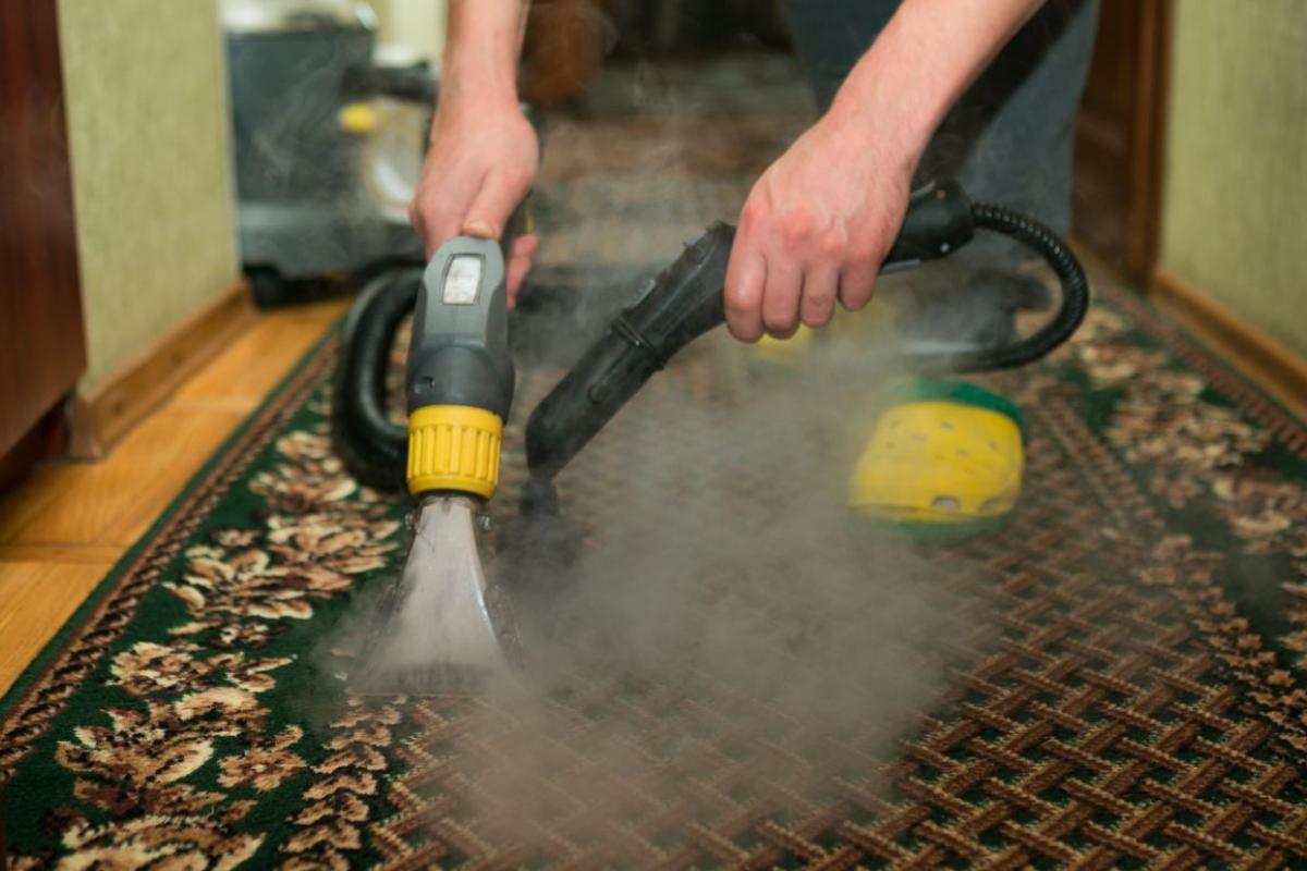 Washing the carpet with a steam cleaner