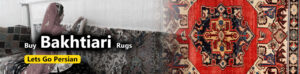 Buy Bakhtiari Persian Rugs